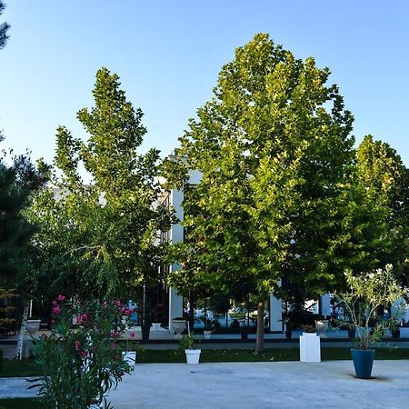 Mesecev Konak Bed & Breakfast Ni Exterior foto