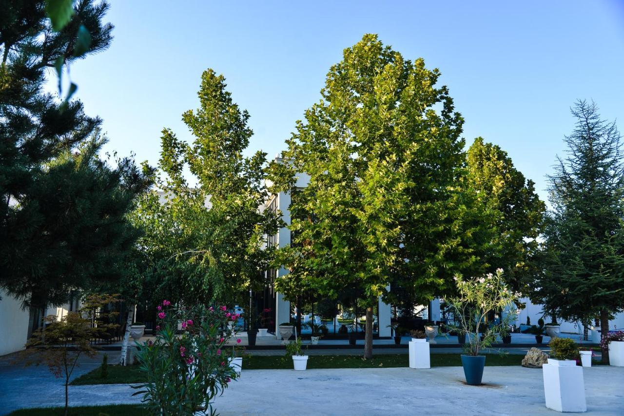 Mesecev Konak Bed & Breakfast Ni Exterior foto