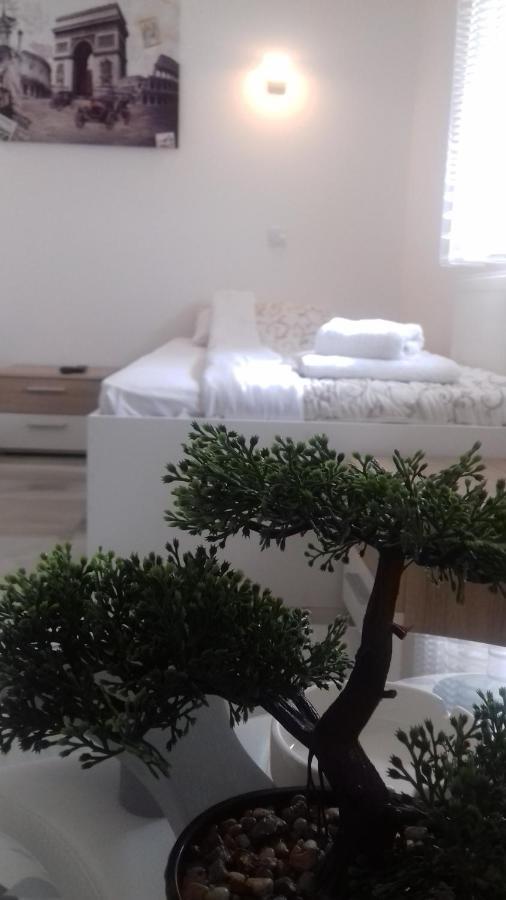 Mesecev Konak Bed & Breakfast Ni Exterior foto