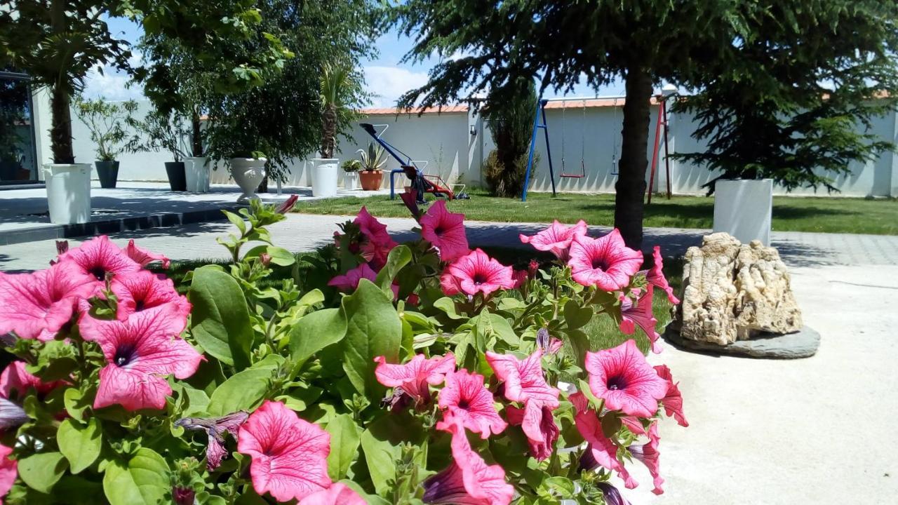 Mesecev Konak Bed & Breakfast Ni Exterior foto